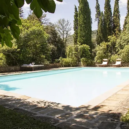 Liliana Villa