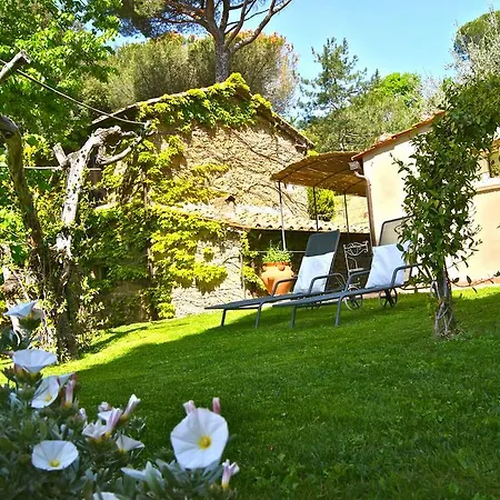 Liliana Villa *